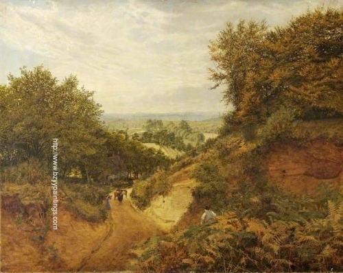View from Leith Hill Dorking Surrey.jpg