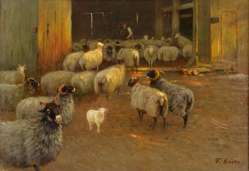 Sheepshearing.jpg