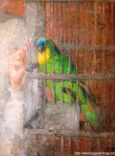 Study the Parrot.jpg