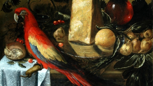 Still-life with a Parrot Macaw.jpg